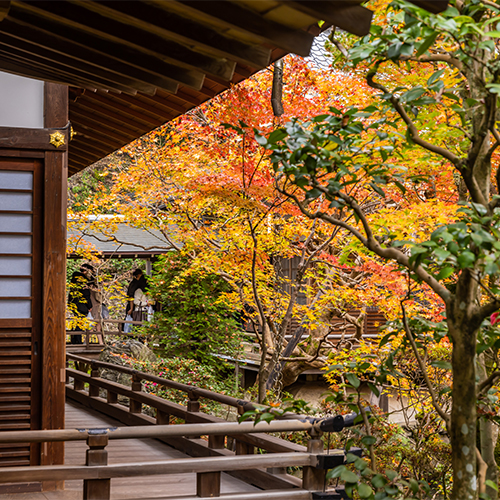 Eikando Zenrinji Temple