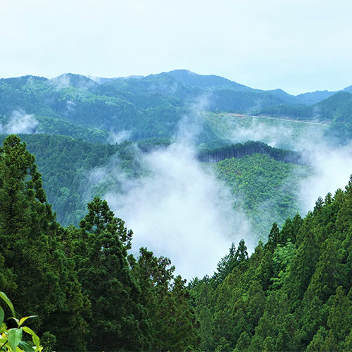 Koyasan