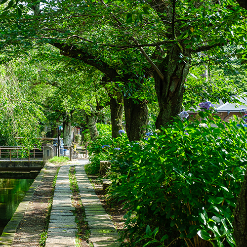 Tetsugakunomichi